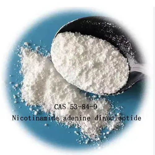 99% nicotinamide adenine dinucleotide NAD voor anti-verouderingscas 53-84-9