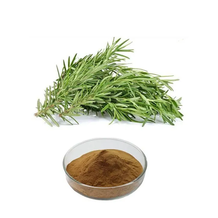 Cosmetische graad Carnosic acid poeder CAS 3650-09-7