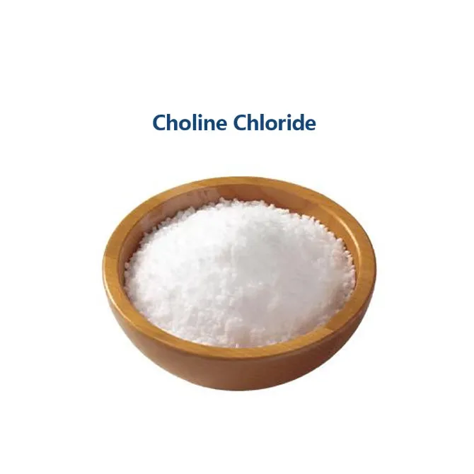 Feed /food additives choline chloride poeder cas 67-48-1