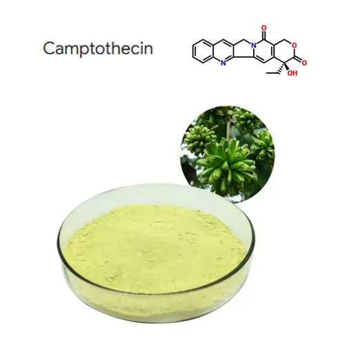 Hoge zuiverheid 98% CAMPTOTHECIN PLANT EXTRACT POEDER CAS 7689-03-4