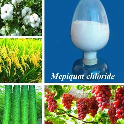 Plantgroei Retarder Mepiquat Chloride (PX) Powder CAS 24307-26-4